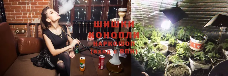 Шишки марихуана Ganja  Сорочинск 